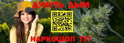 бошки Дубна