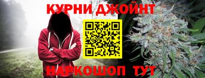 бошки Дубна