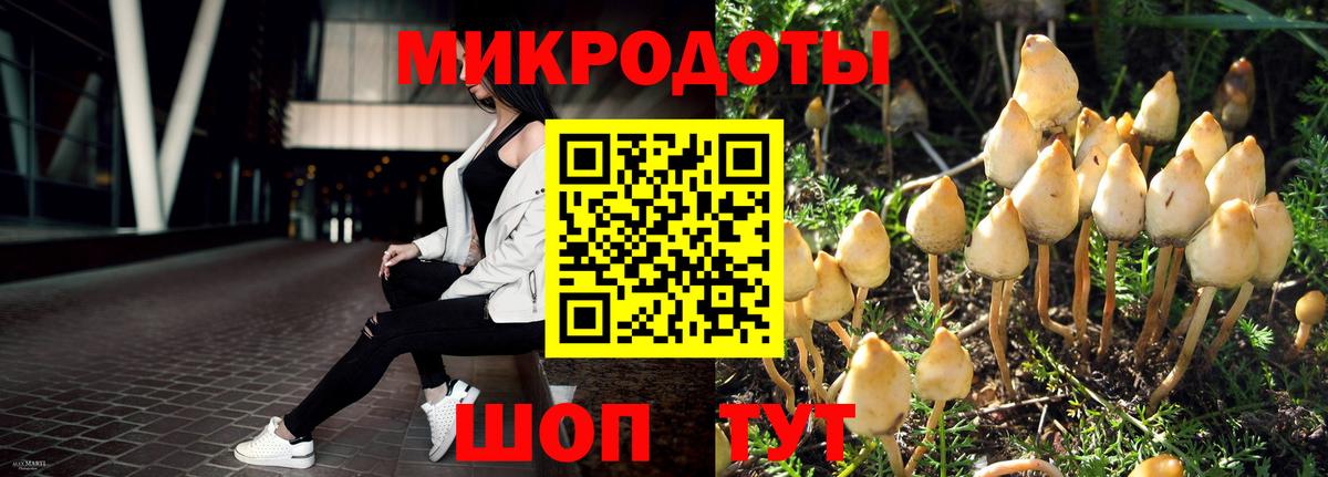 Галлюциногенные грибы Psilocybine cubensis  Галлюциногенные грибы Magic Shrooms  Вход с VPN  Моздок 
